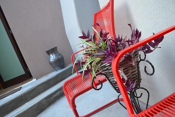 La Salvia E Il Lampone Bed & Breakfast Pove del Grappa Luaran gambar