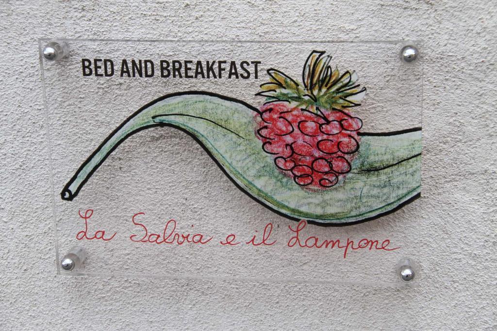 La Salvia E Il Lampone Bed & Breakfast Pove del Grappa Luaran gambar